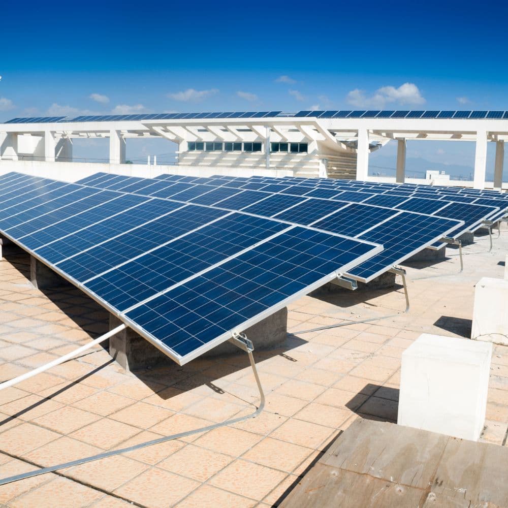 The Simple Solution to Rising Energy Costs | Daisy