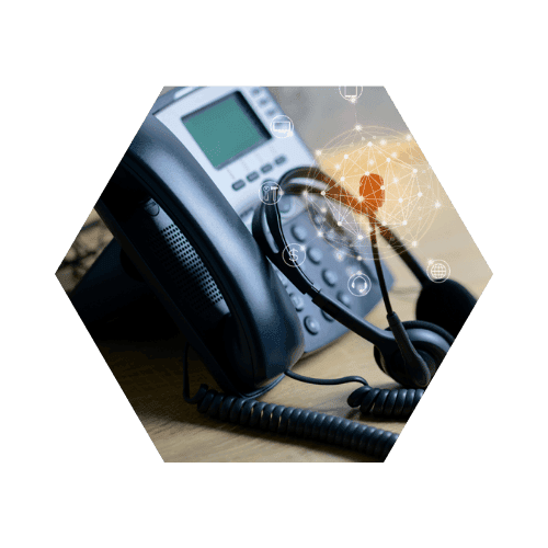 Voice VLAN Services