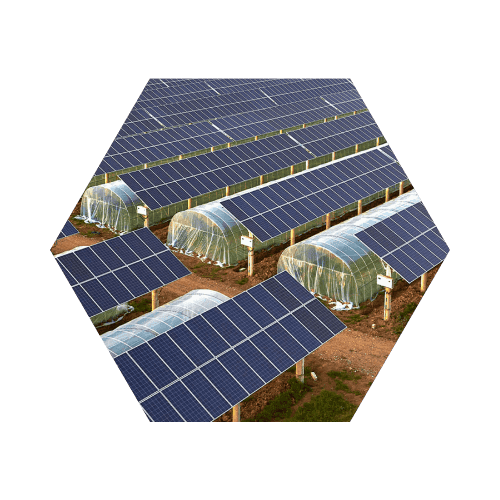 Agricultural Solar Solutions