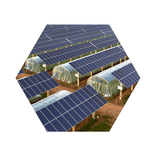 Business Solar Solutions | Daisy Business Solutions