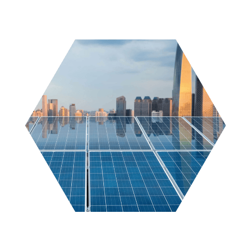Business Solar Solutions | Daisy Business Solutions